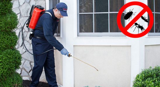 Koyundere Akrep İlaçlama böcek ilaçlama ve haşere kontrolü — ilaclama-tr.com
